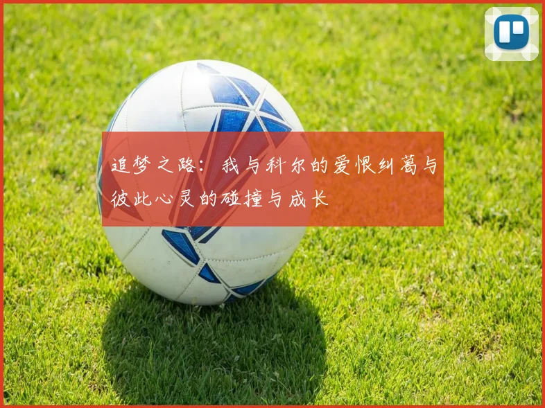追梦之路：我与科尔的爱恨纠葛与彼此心灵的碰撞与成长