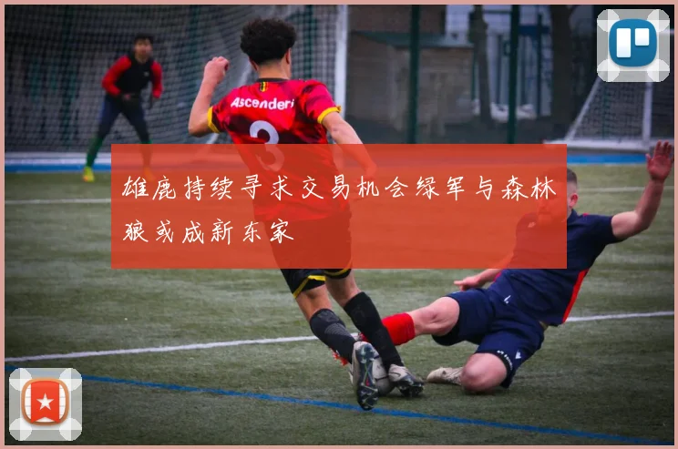 雄鹿持续寻求交易机会绿军与森林狼或成新东家